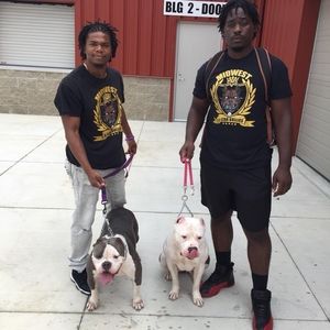 Meet your Posher, Marcus